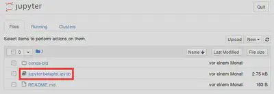 Darstellung der Dateien in Jupyter Notebook. Quelle: eigene Darstellung