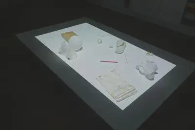 Experimente für die Installation "Die Dinge der Natur". Foto: Torsten Bruch